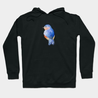 Faith is a bluebird Hoodie